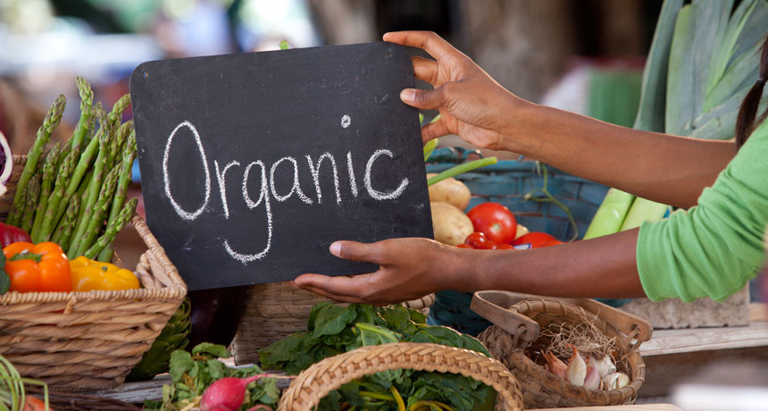 6 Organic Products to Live a Sustainable Life